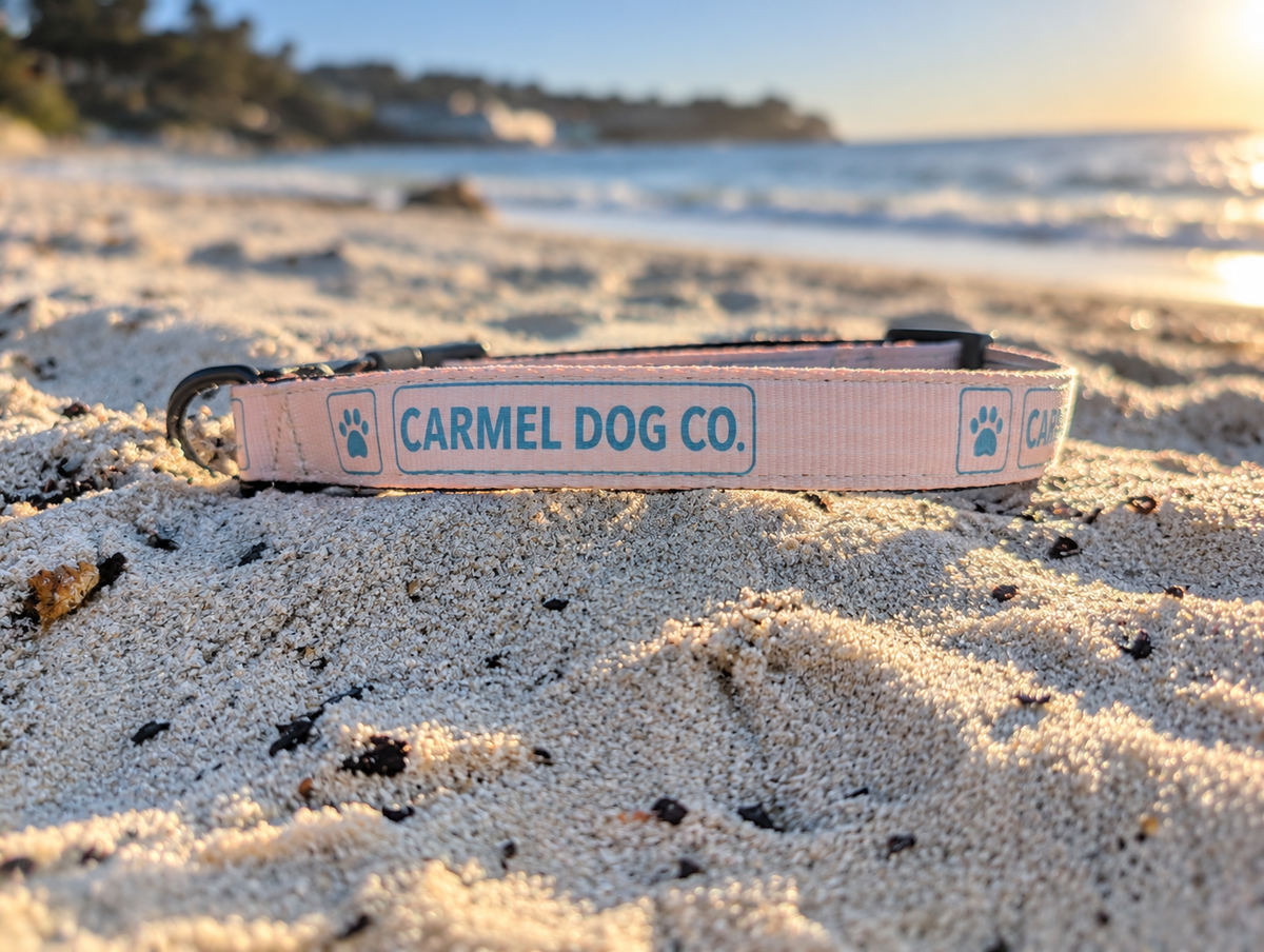 The Coastal Collar (multiple colors)