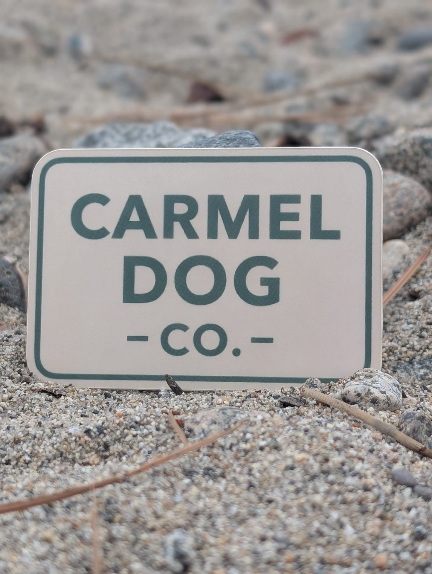 Carmel Dog Co. sticker on a sandy beach with water in the background