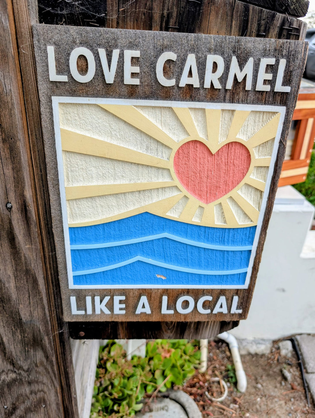 The Official Carmel Dog Co. Blog