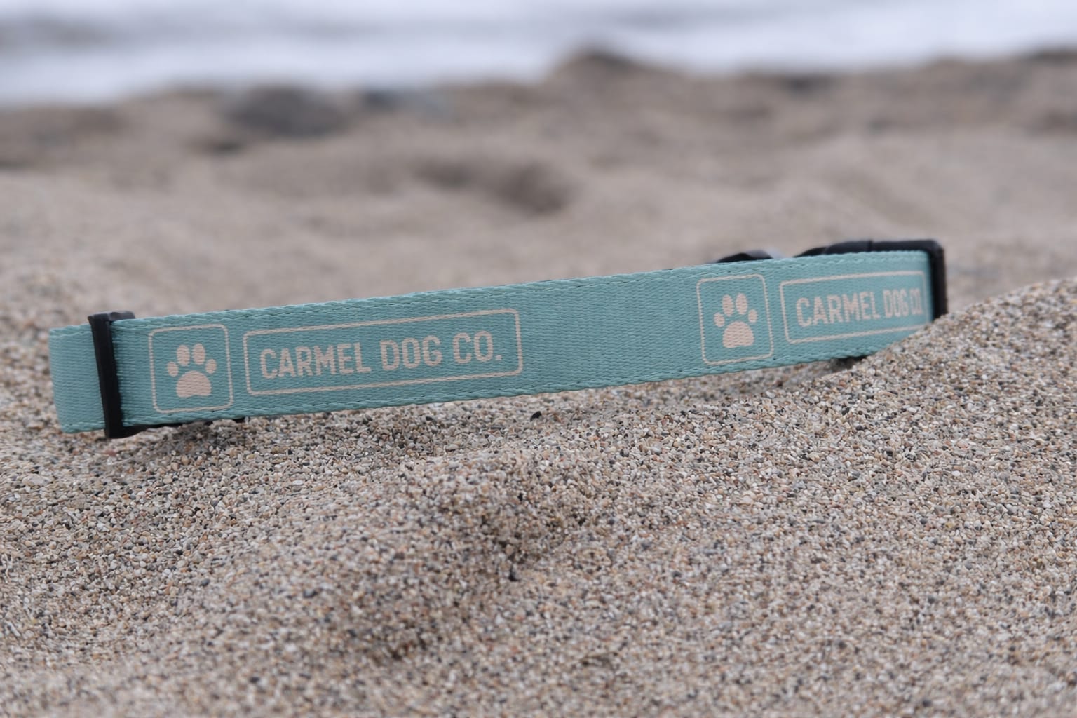 Carmel Dog Co. cypress green collar on a sandy beach with water in the background