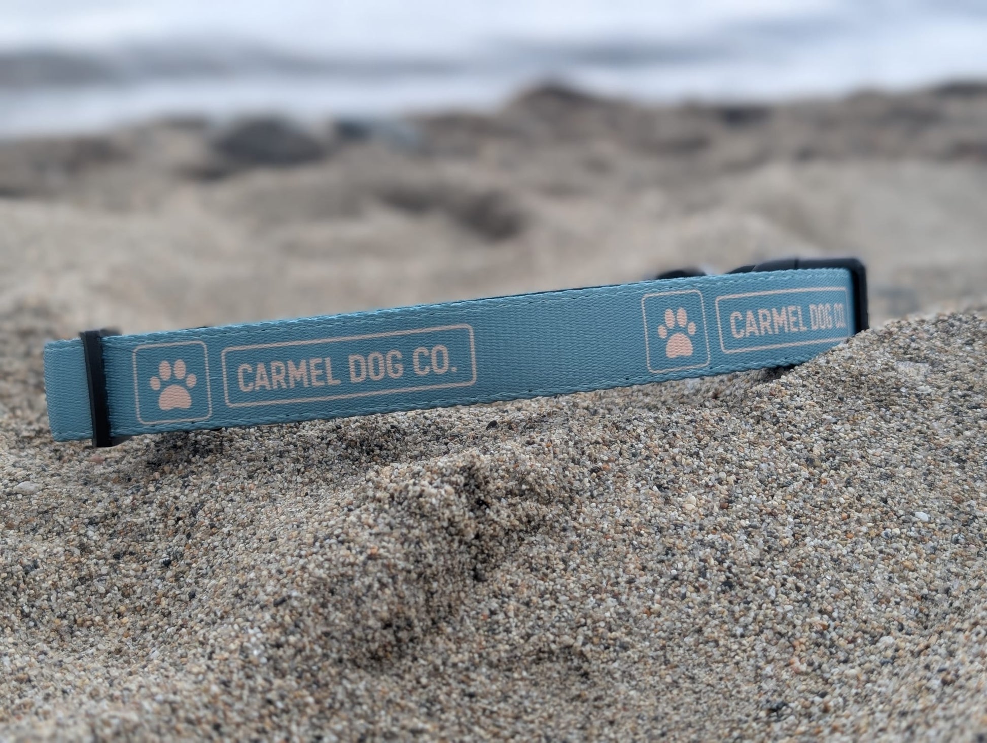 Carmel Dog Co. cypress green collar on a sandy beach with water in the background