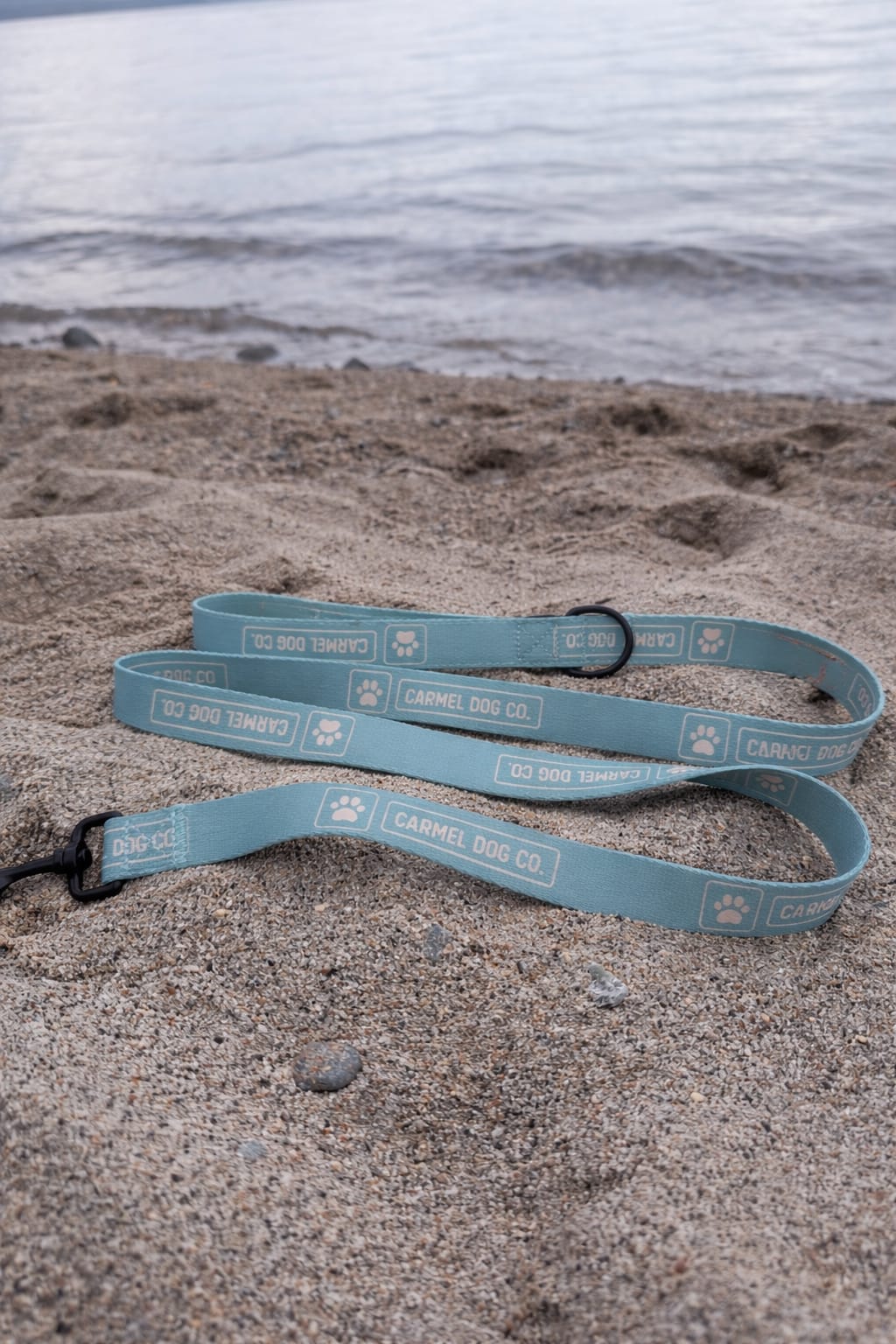 Carmel Dog Co. cypress green leash on a sandy beach with water in the background