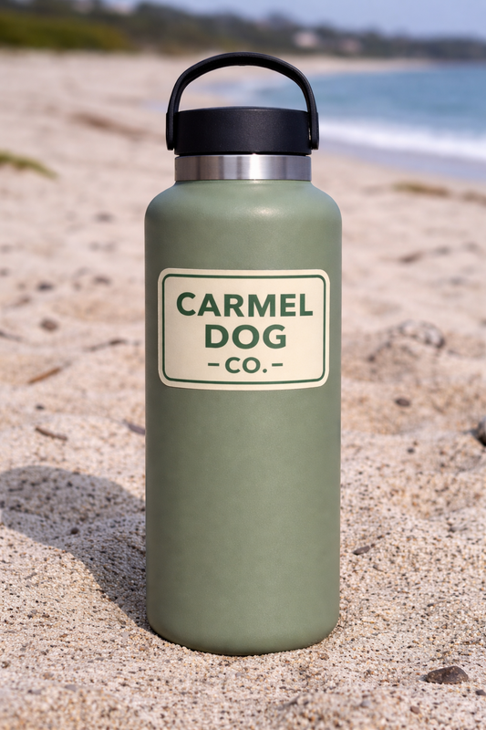 Green water bottle with 'Carmel Dog Co.' label on a sandy beach