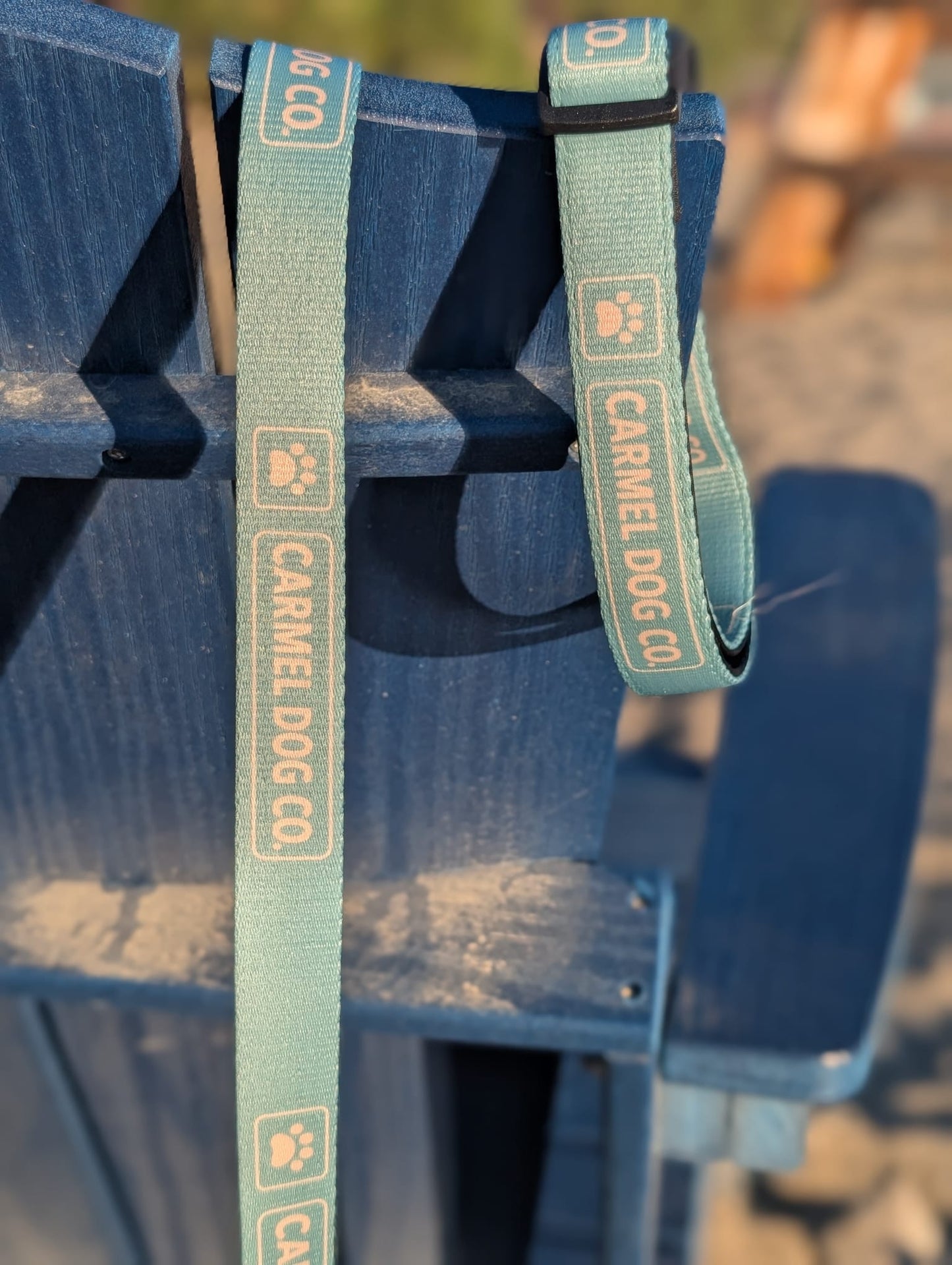 A close-up of a cypress green pet leash with a matching collar, both printed with the brand name 'CARMEL DOG CO.' and a paw print logo, draped over a blue wooden chair in an outdoor setting.