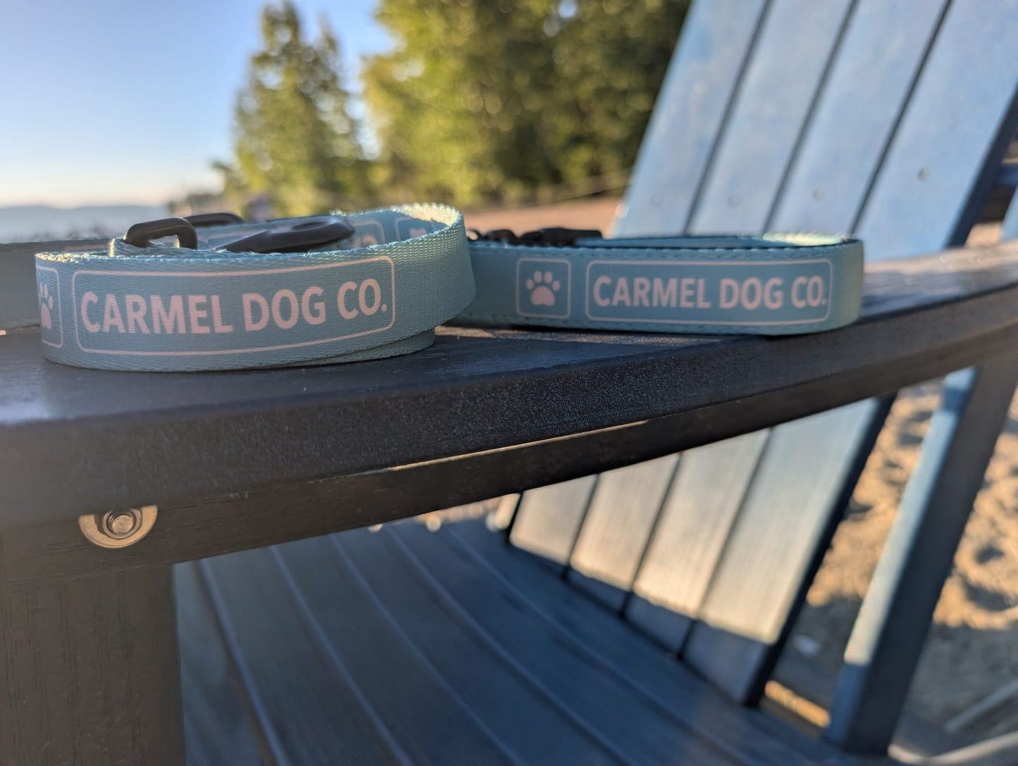 A matching dog leash collars in a cypress green color with a dune sand label reading 'CARMEL DOG CO.' and a small paw print, resting on a dark wooden outdoor chair.
