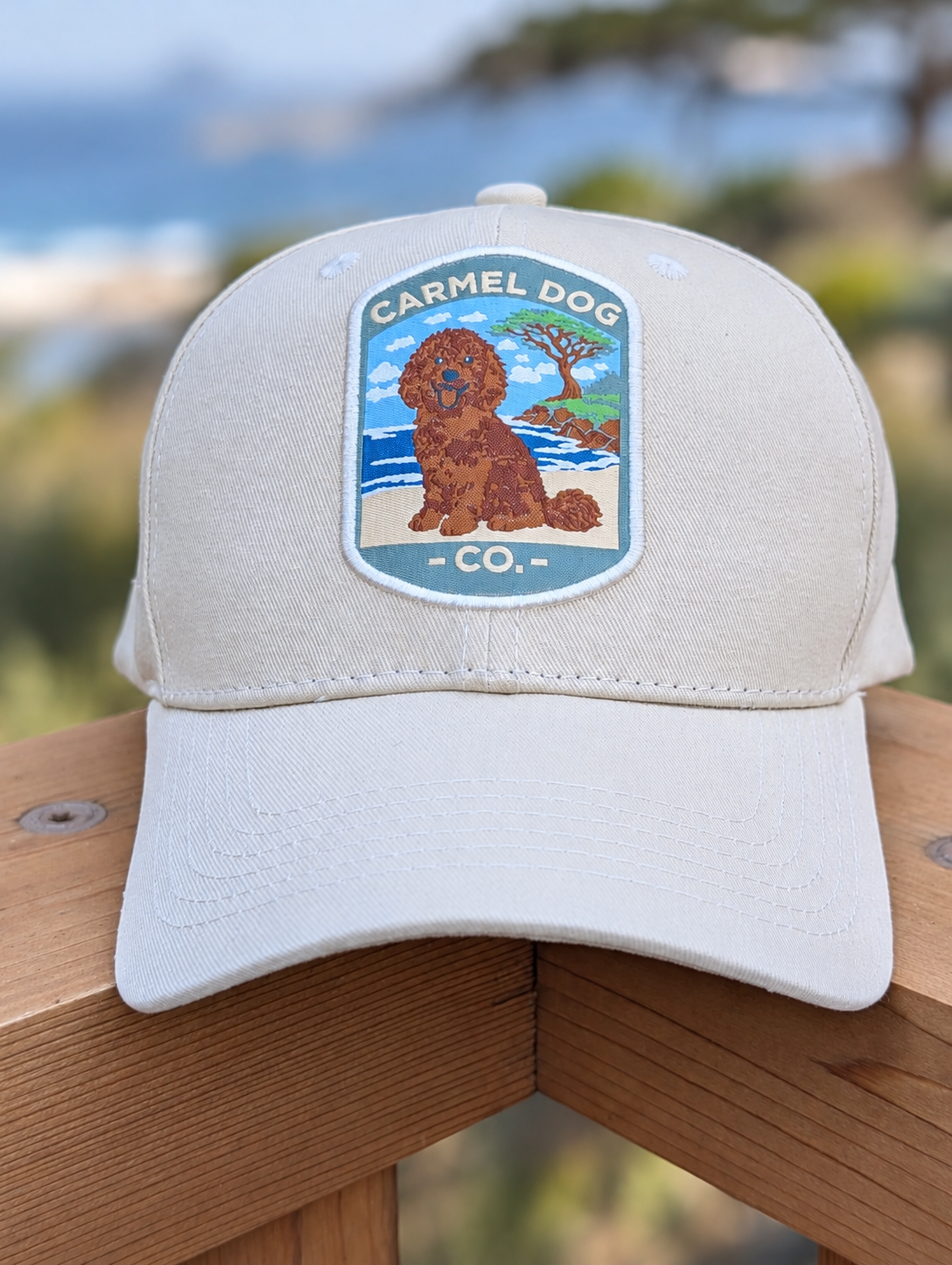 Penny the Carmel Dog Hat – Doodle | Carmel Dog Co.