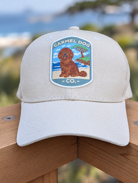 Penny the Carmel Dog Hat – Doodle | Carmel Dog Co.