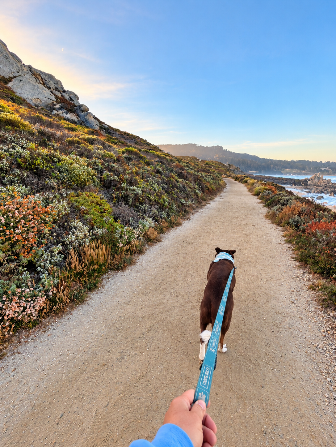 The Coastal Essentials Set (Leash + Collar Bundle)