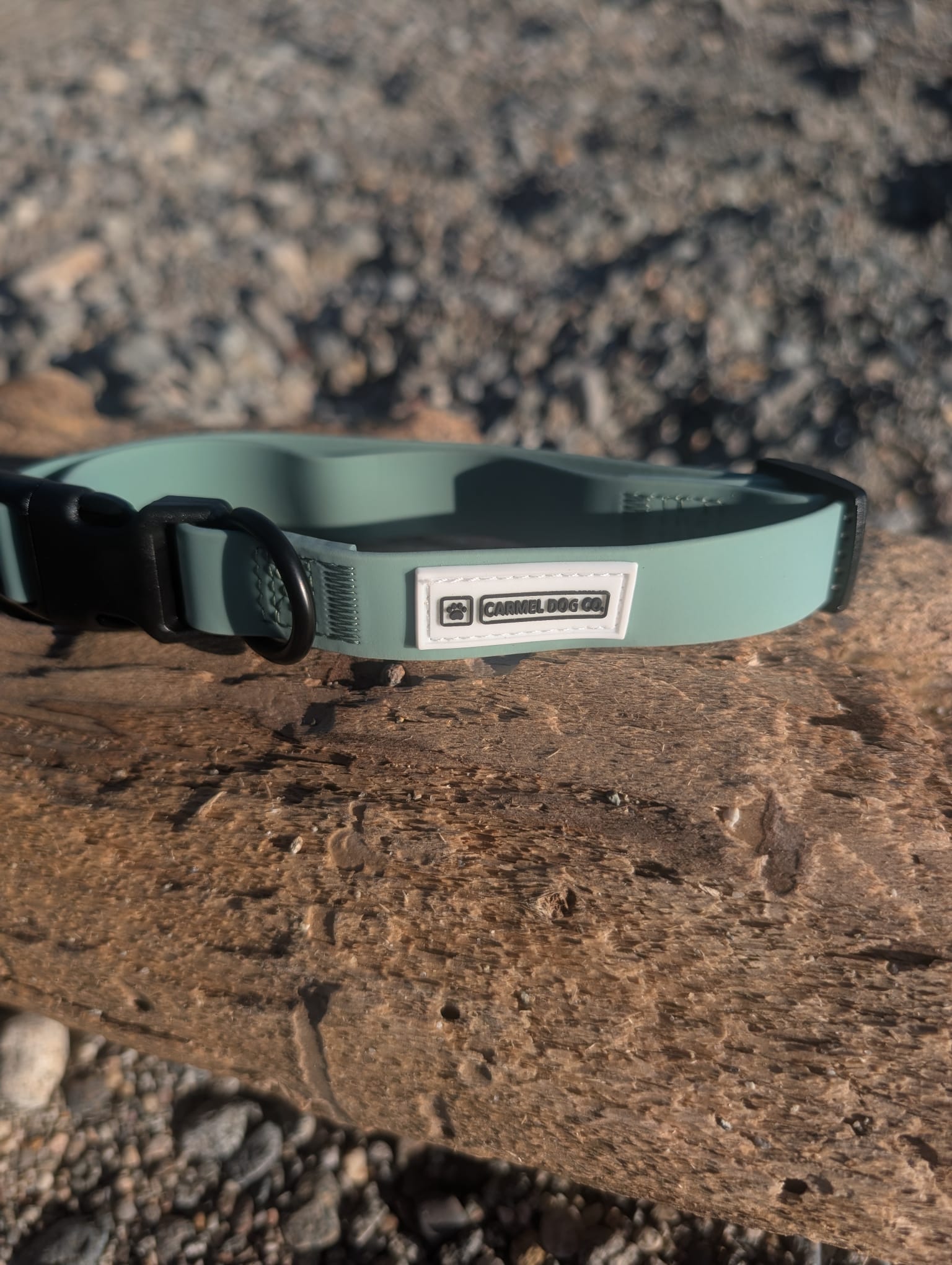 A sage green dog collar with a black plastic buckle and a white brand label reading 'CARMEL DOG CO.', resting on a textured driftwood log on the beach.