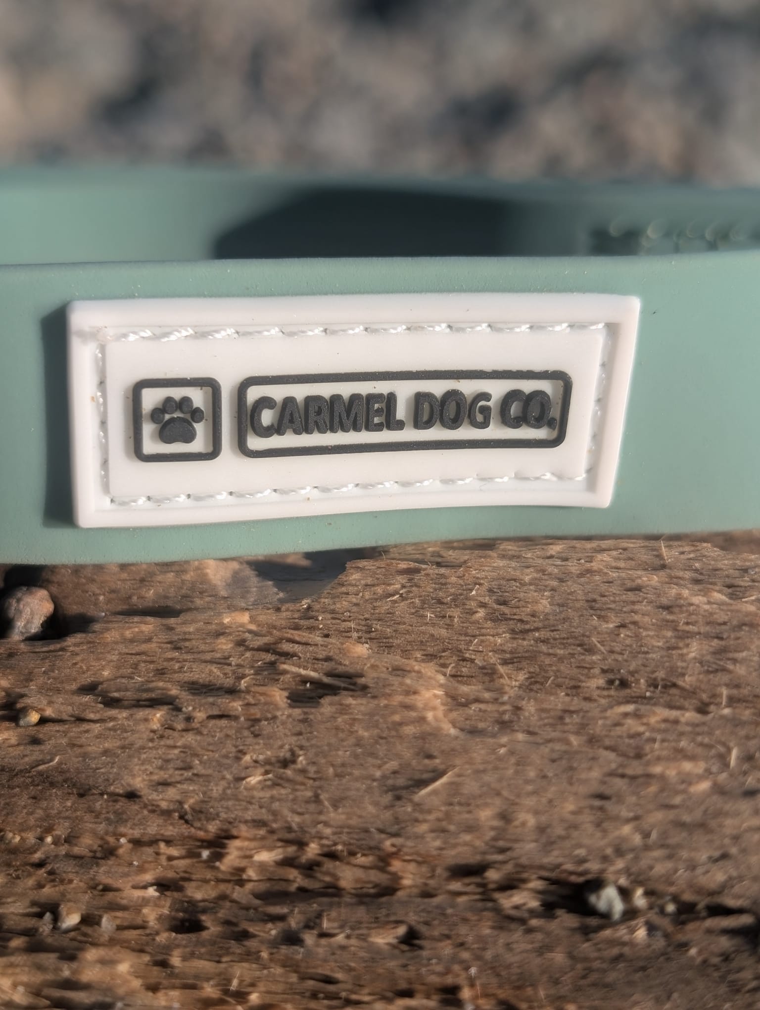 A sage green dog collar with a black plastic buckle and a white brand label reading 'CARMEL DOG CO.', resting on a textured driftwood log on the beach.