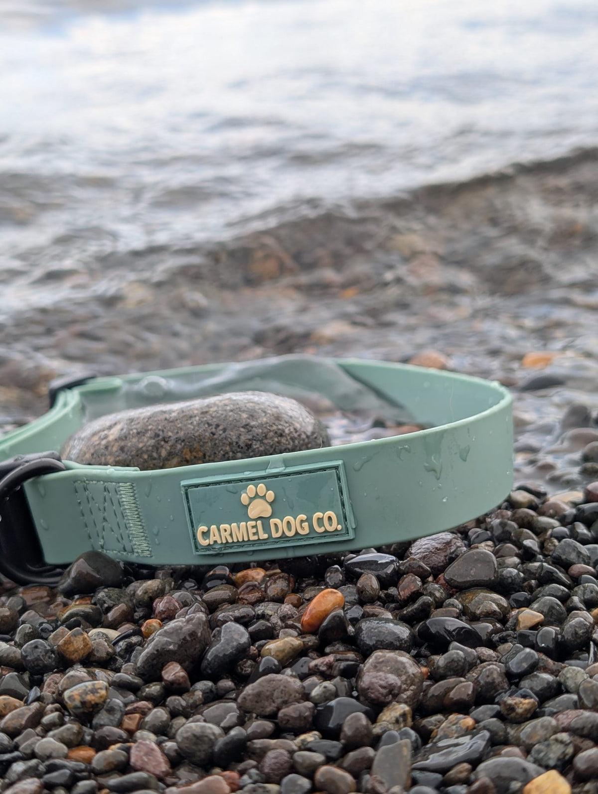 Shoreline Waterproof Collar